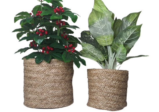 Sea-Grass basket