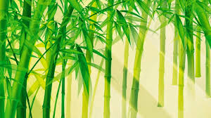 Cơ hội mới cho ngành mây, tre