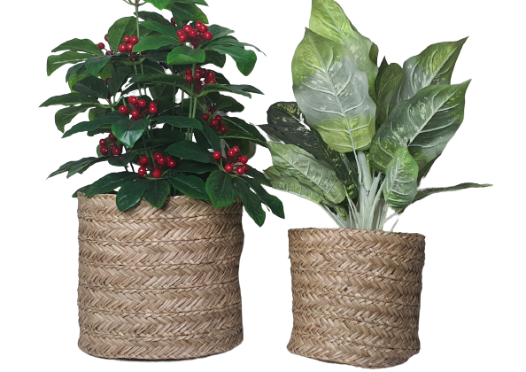 Sea-Grass basket